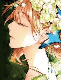 蜜桃视频下载 海贼王 真人版